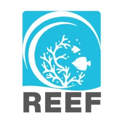 Symbol von REEF